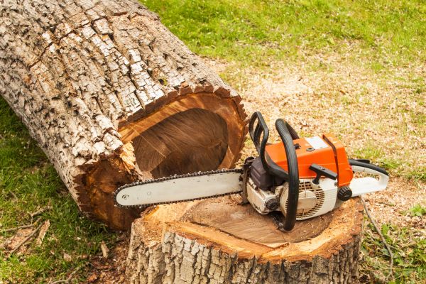 Tree Cutting Service in Westerville