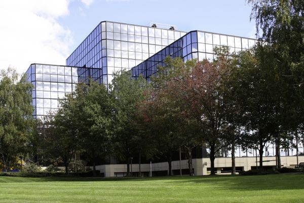 Commercial Tree Trimming in Westerville