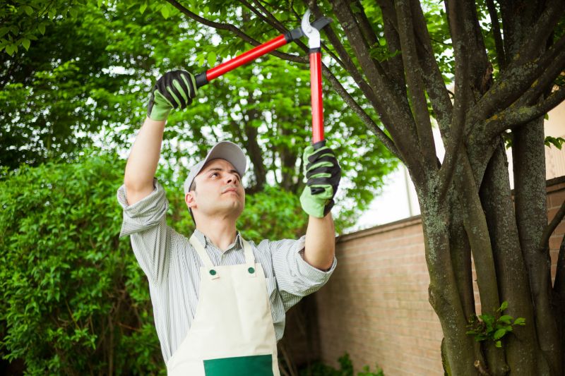 Tree Maintenance in Westerville